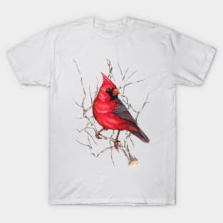 Northern Cardinal T-Shirt